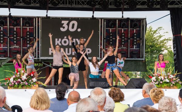 30. Falunap 2019. augusztus 3.