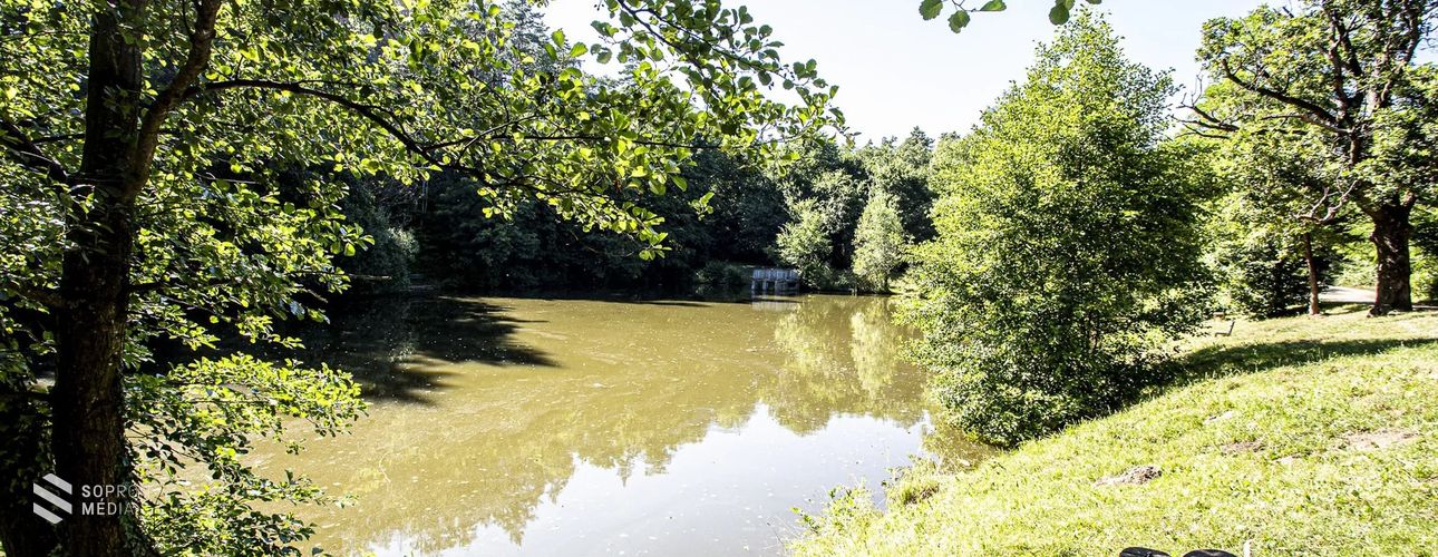 Haláleset történt Sopronban, a Szalamandra-tónál