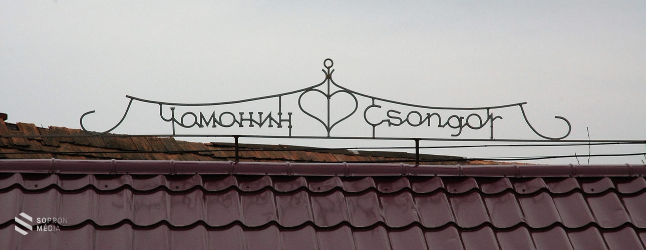 Küldöttség járt Kárpátalján