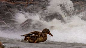 Hidegbetörés: 100 km/órás széllökések is lehetnek vasárnap