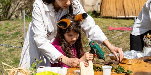 Itt szalad a nyulacska!