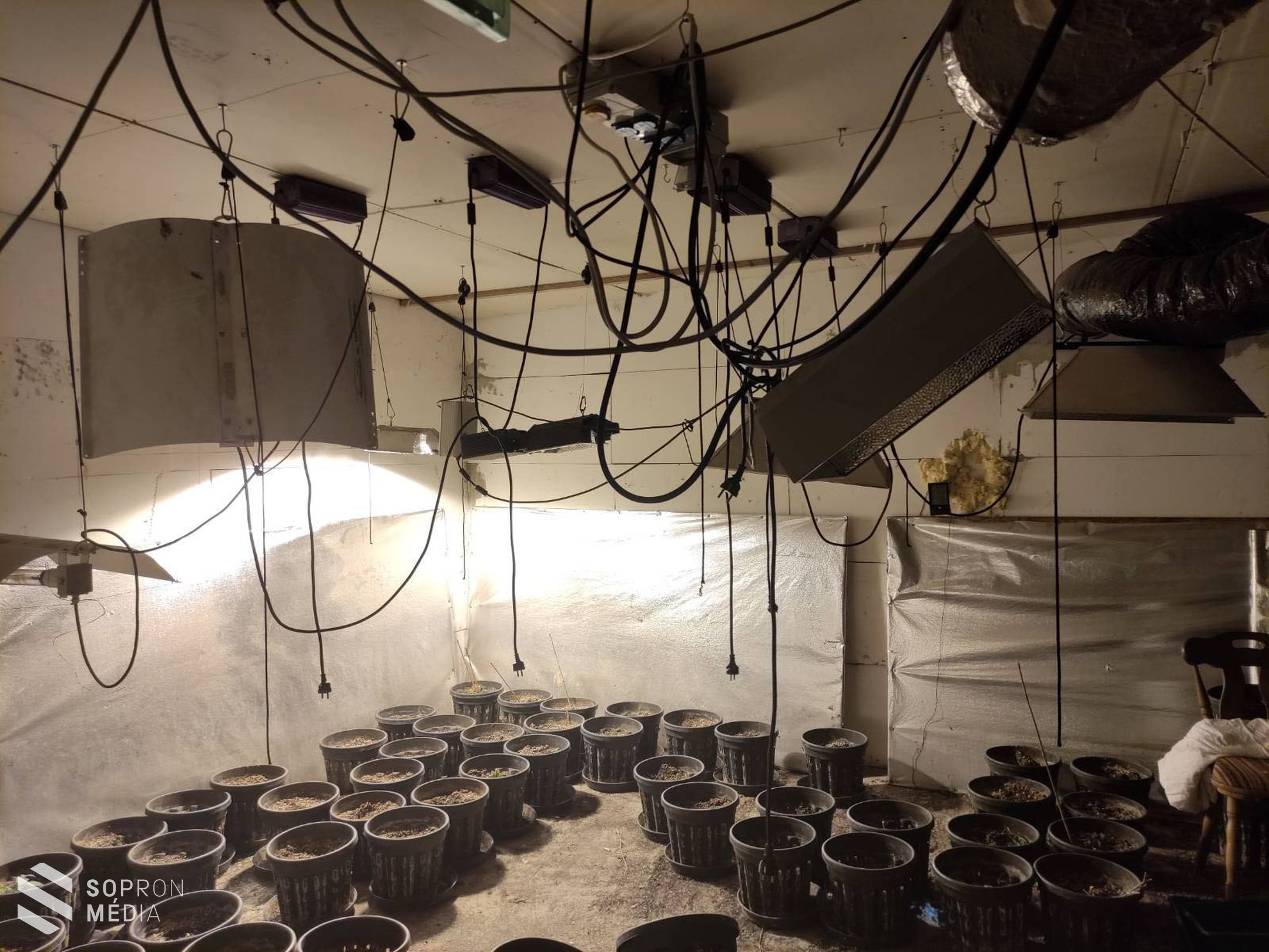 A karácsonyi amfetamin-csomag célba ért 