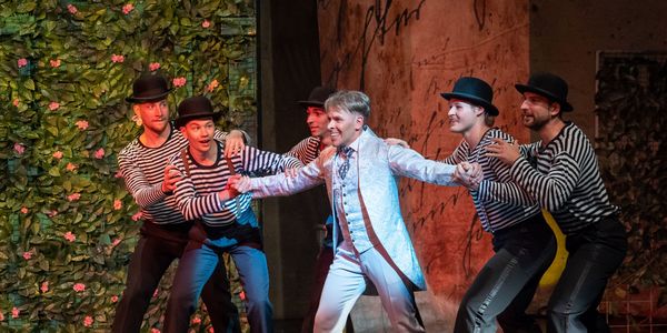 Sissi, a magyar királyné