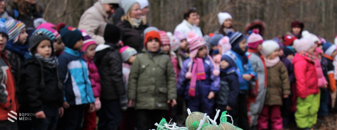 Egy délelőtt a téli madárvédelem jegyében