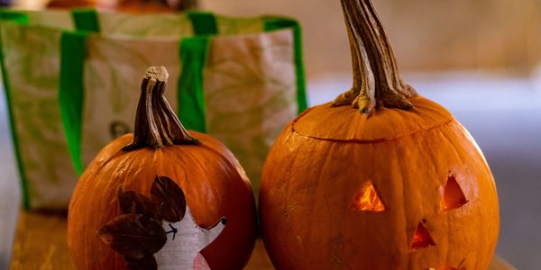 Mesés őszi délután a Kőfejtőben