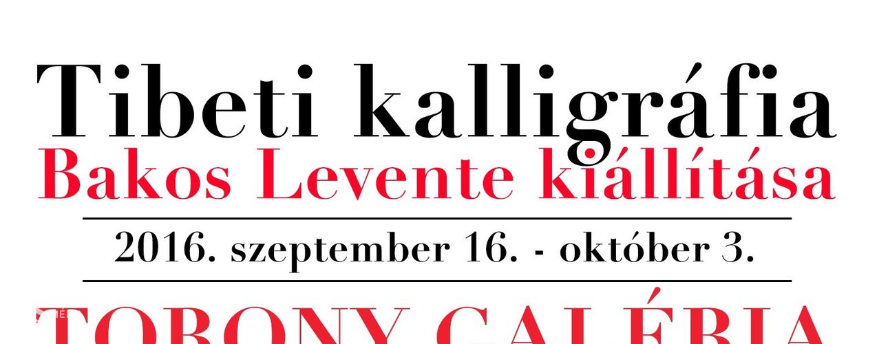 Bakos Levente kiállítása lesz a Torony Galériában