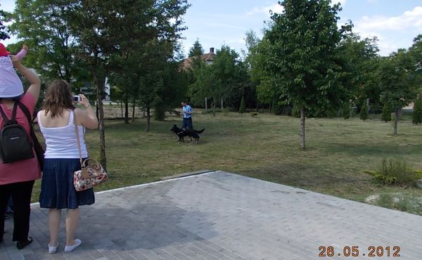 Gyermeknap 2012