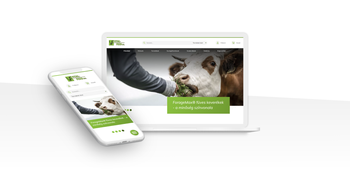 Az együttműködés csúcsa: egyedi webshop 76 munkanap alatt