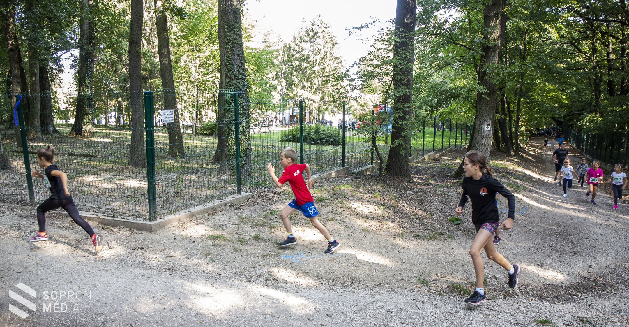 Tizenegyedik alkalommal rendezték meg a Soproni Cross Futást 