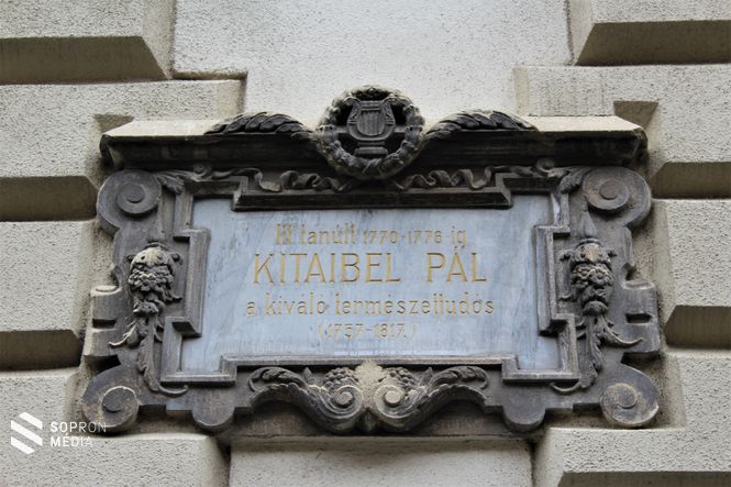 Kitaibel Pál emléktáblája Sopronban