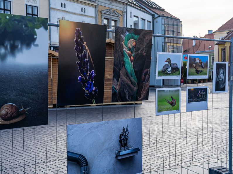 Szabadtéri fotókiállítás nyílt Sopronban