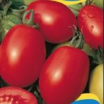 Paradicsom Salus 25 g termék képe