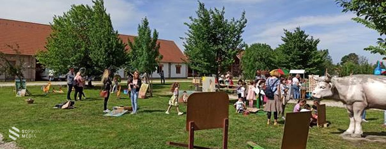 Vizes móka a Lászlómajorban