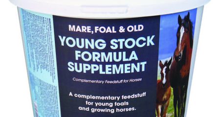 EQUIMINS YOUNG STOCK SUPPLEMENT-Koncentrált vitamin kiegészítő csikók számára 4kg