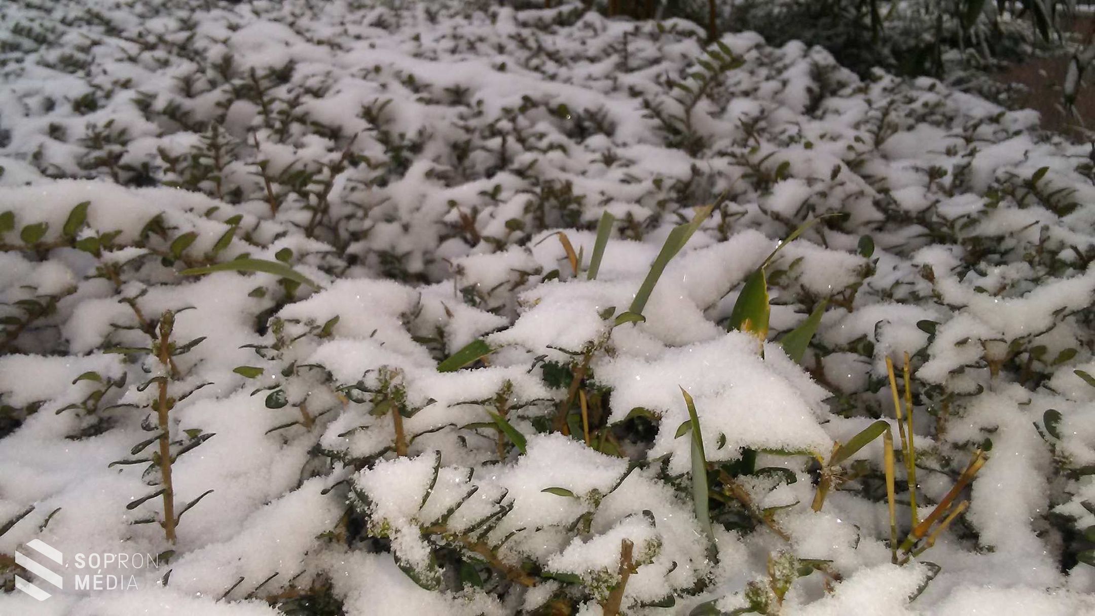 Nagy havazás Sopronban - akár 10 cm hóréteg is képződhet
