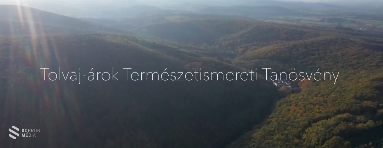 Sétáljunk végig együtt a Tolvaj-árok Természetismereti Tanösvényén! - VIDEÓ
