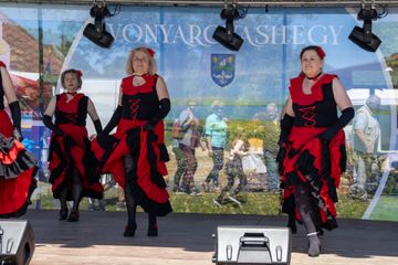 Vonyarcvashegy