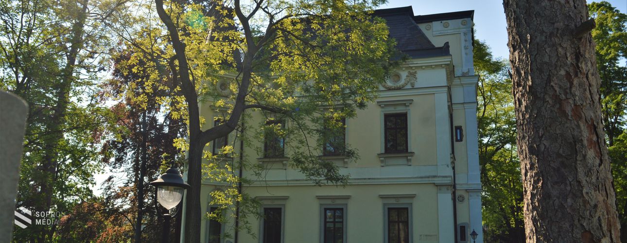 Büntetőfeljelentés a fakivágás miatt