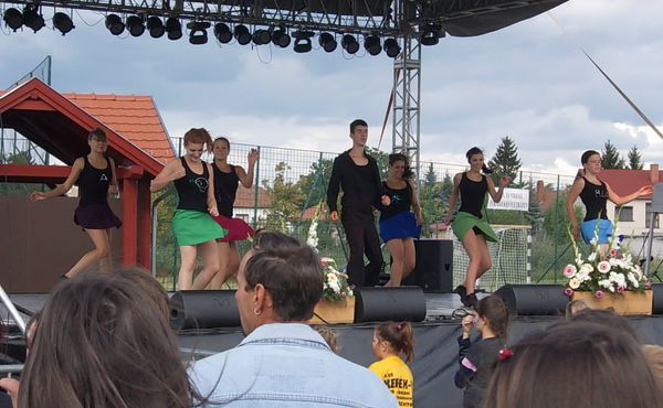23. Falunap 2012. augusztus 11.
