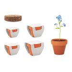 Mini cserepes virág, nefelejcs