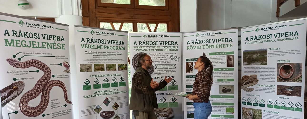 Nyáron is folytatódik a rákosi viperát népszerűsítő program 