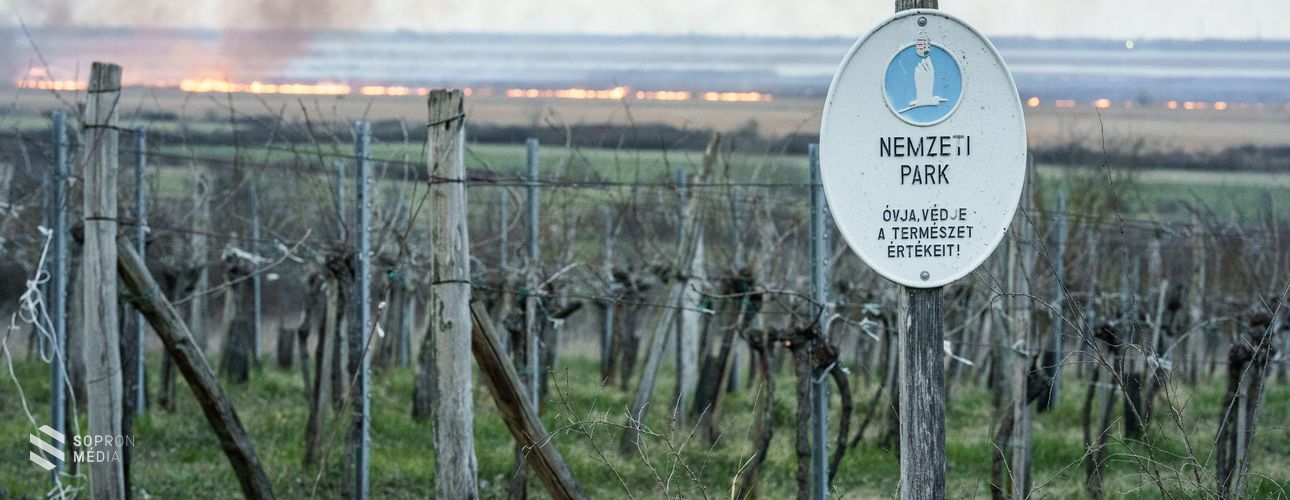 Nagy területen lángol a nádas Sopron és Fertőrákos térségében
