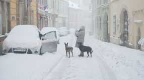 Rendületlenül esik a hó Sopronban