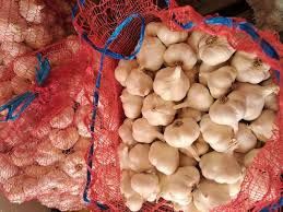 Tavaszi fokhagyma Morado 5000g termék képe