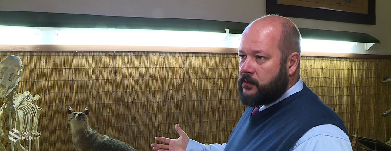 Sopron környékén is egyre gyorsabban terjed az aranysakál