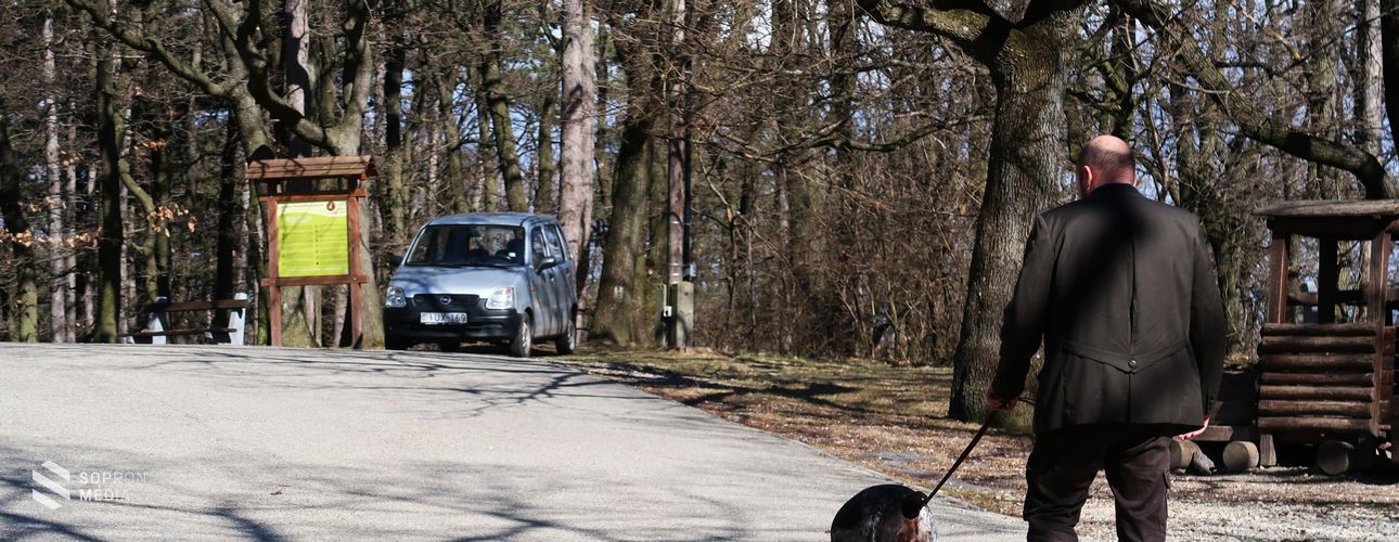 Póráz nélkül – veszélyes és büntetendő