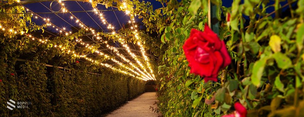 Az Esterházy-kastély Cziráky Margit Rózsakertjének nyitvatartása szeptember 1-én