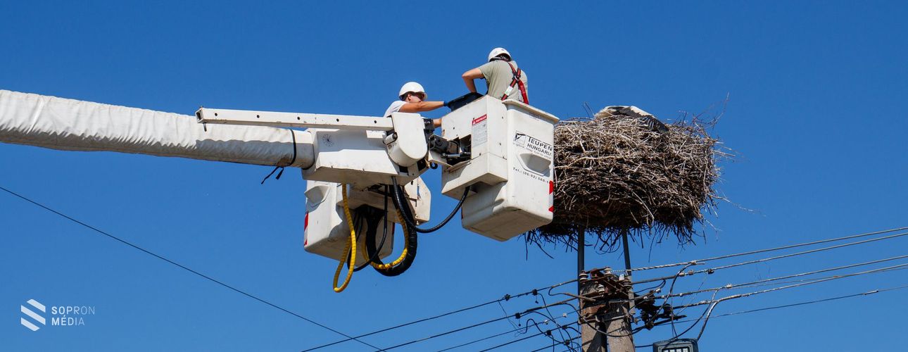 3300 fészek várja a gólyákat az E.ON áramhálózatán