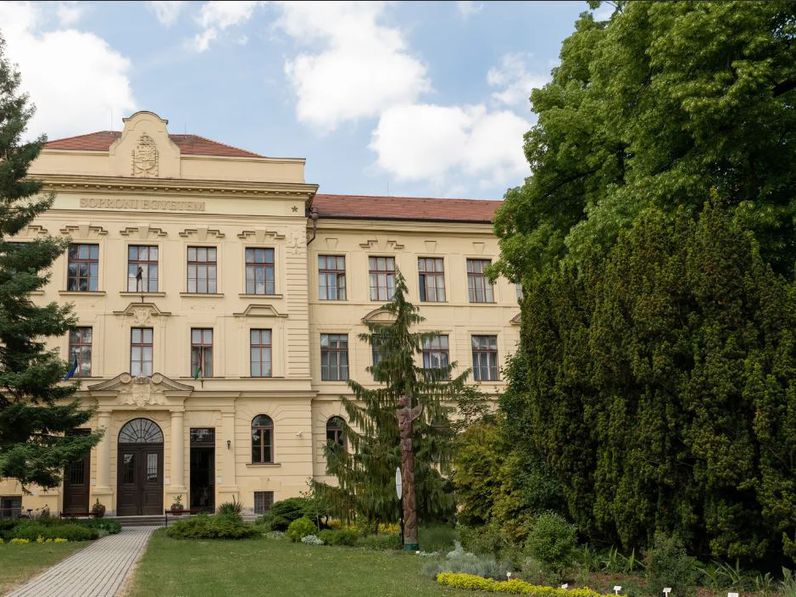 Országos átlag feletti a növekedés a Soproni Egyetemre felvett diákok számában