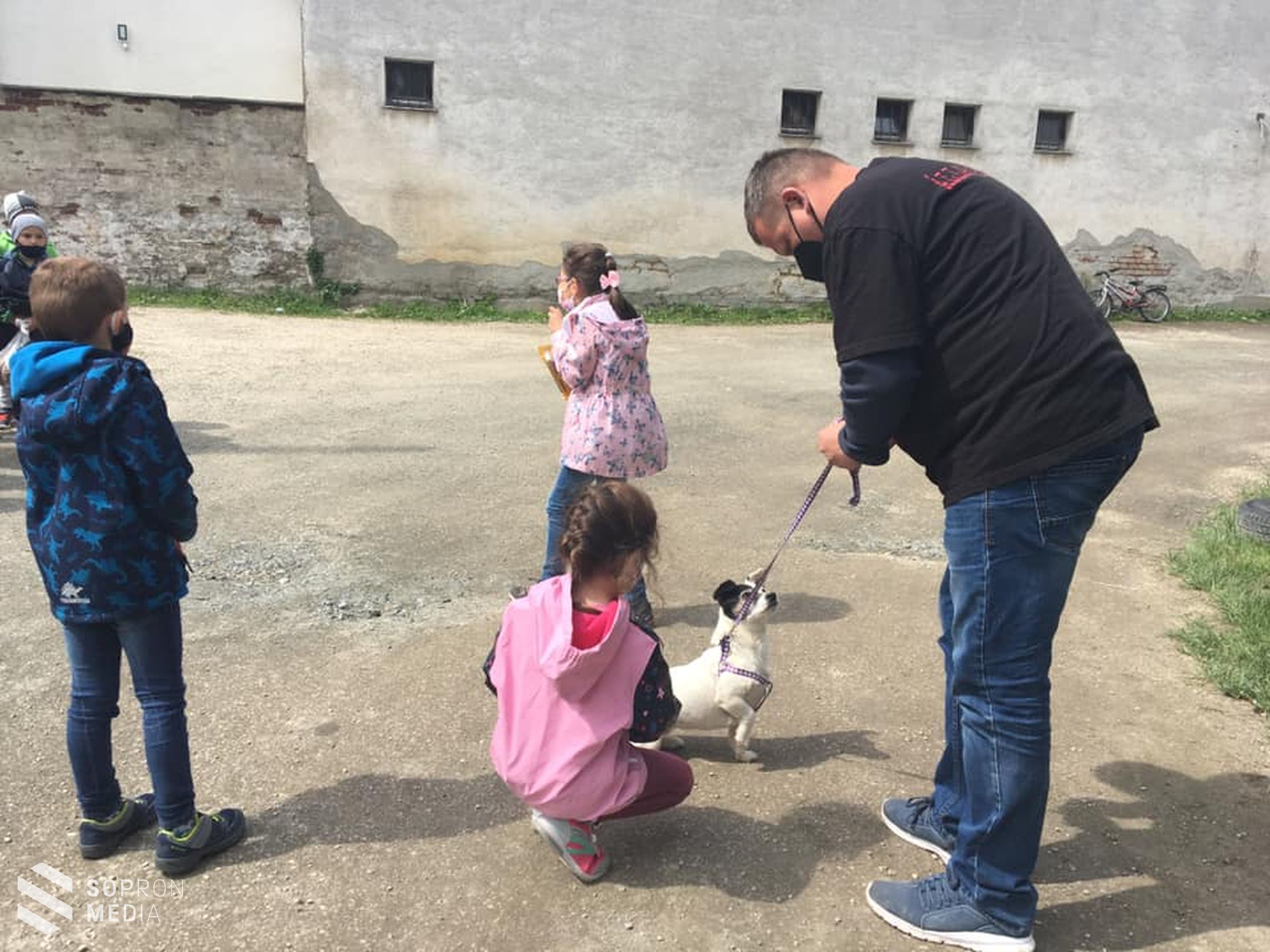 A felelős állattartásra nevelés, gyerekkorban kezdődik