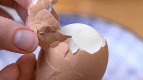 Ne csak húsvétkor együnk tojást!