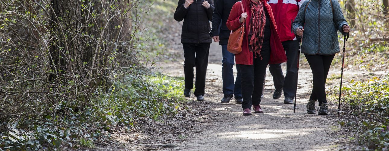 Újra indulnak  a Soproni Gyalogló Idősklubok