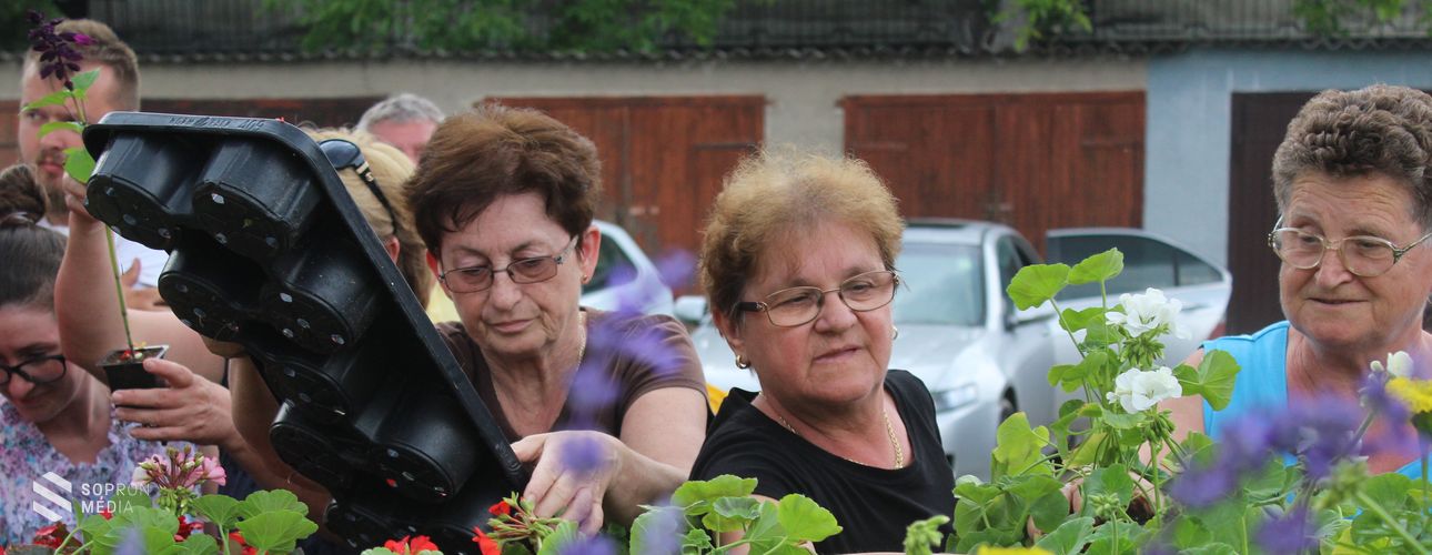 Virágba borulnak az otthonok és kertek 
