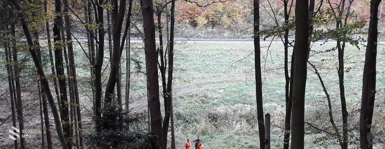Figyelem - A Soproni-hegyvidék két területén is terelővadászatot tartanak szerdán