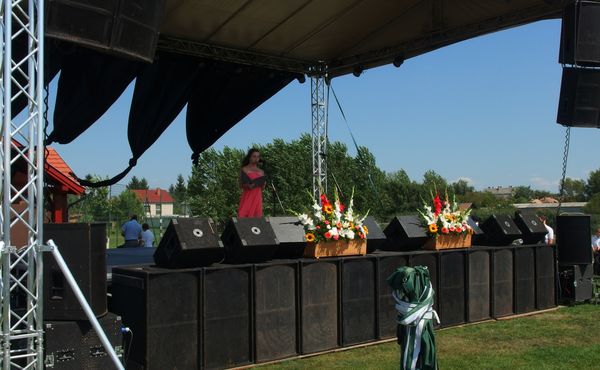 25. Falunap 2014. augusztus 9.