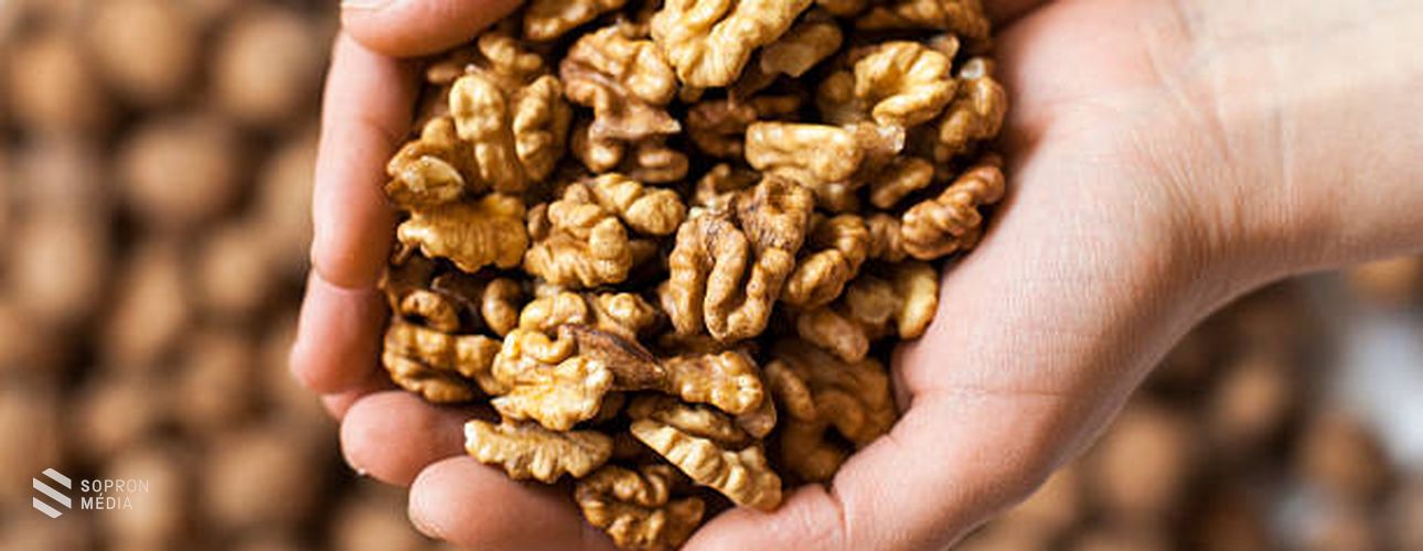 A dió áldásos hatásai régen és ma