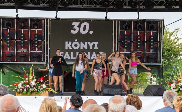 30. Falunap 2019. augusztus 3.