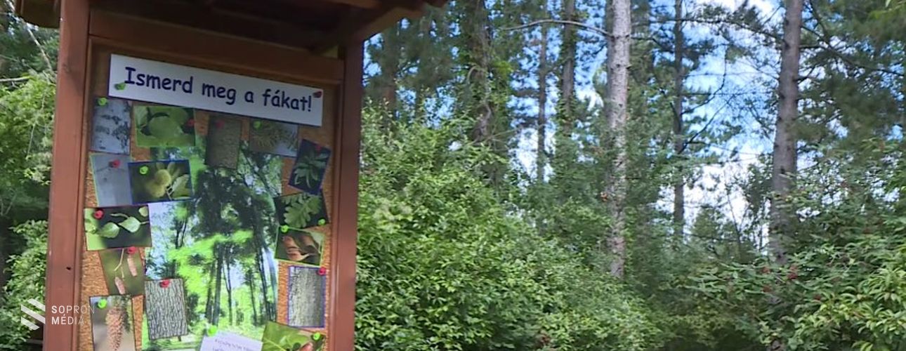 Új tanösvénnyel gazdagodott az egyetem botanikus kertje