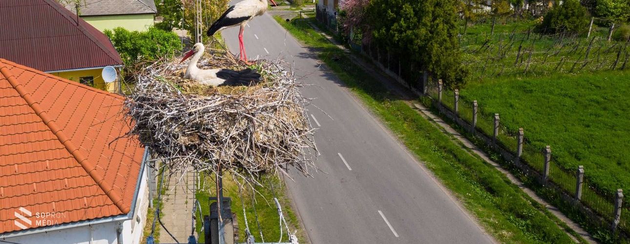 Csaknem 4500 fészektartóval várja az E.ON a gólyákat