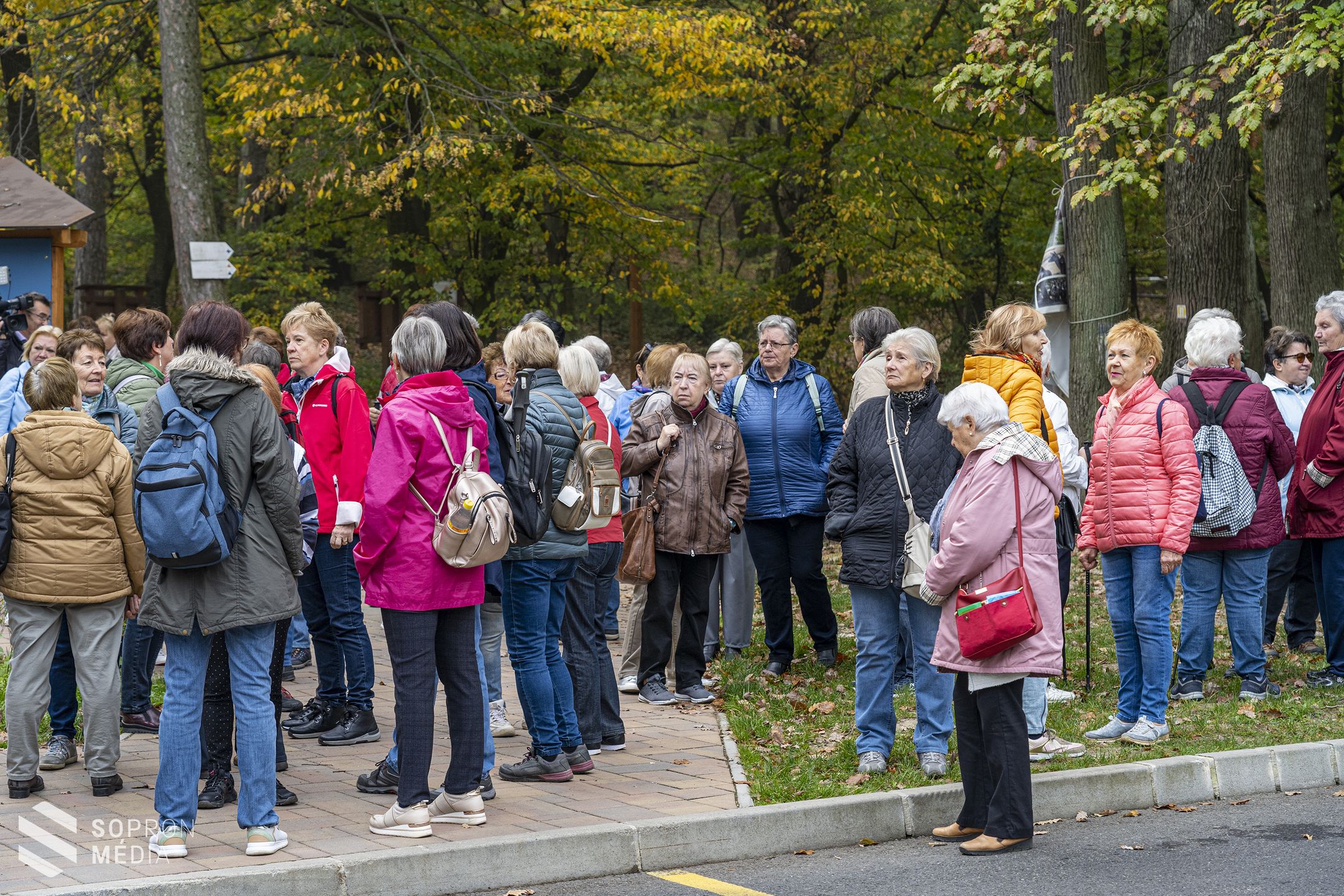 Idősek világnapja és szív világnapja – A jeles dátumok előtti tisztelgésként gyalogtúrát szerveztek a parkerdőben