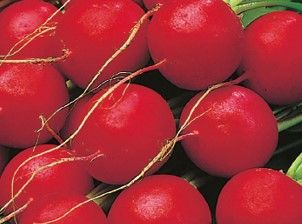 Retek Sora 50 g termék képe