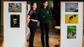 Természet hallgatói szemmel – kiállítás nyílt a Ligneumban