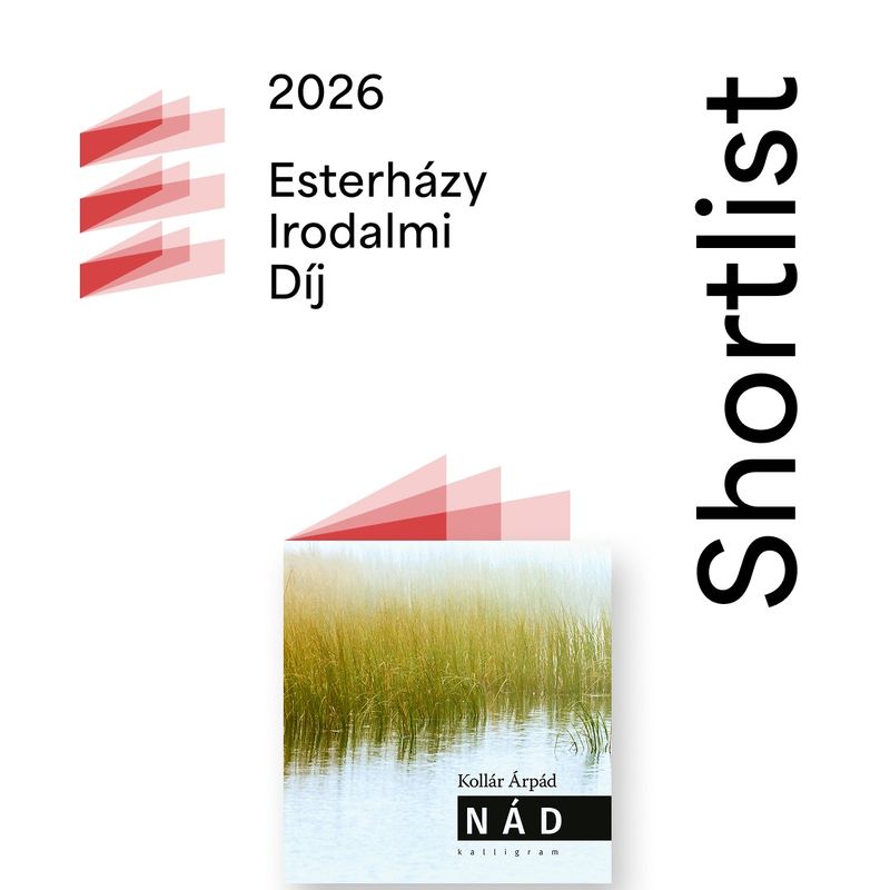 Kollár Árpád, Nád