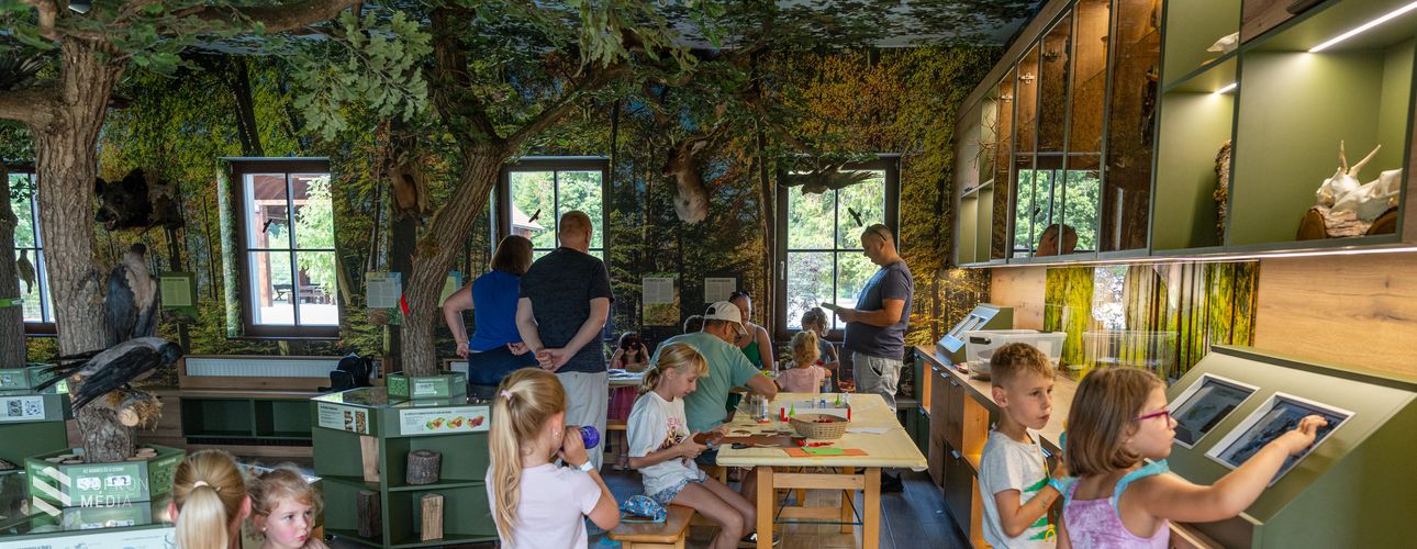 Születésnap az Erdő Házában