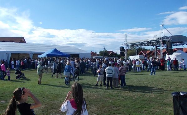 23. Falunap 2012. augusztus 11.