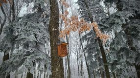 A Kuruc-domb volt az ország leghidegebb pontja